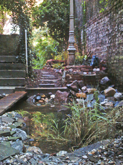 Garten-5i
